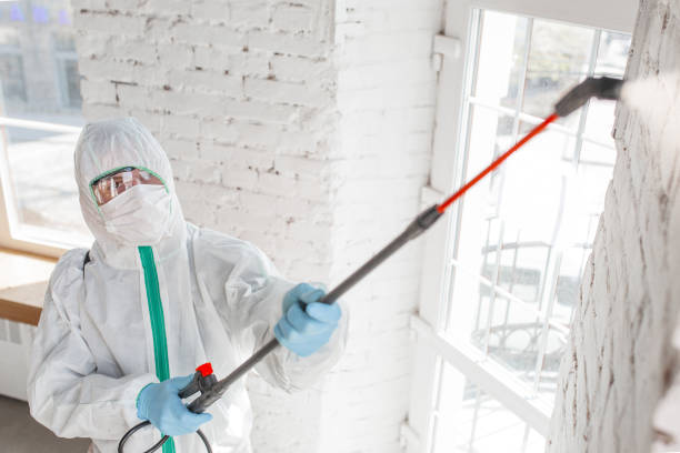 Best Mold Odor Removal Services  in Fairview, NC