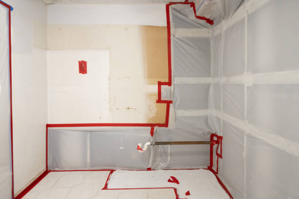 Best Basement Mold Removal  in Fairview, NC