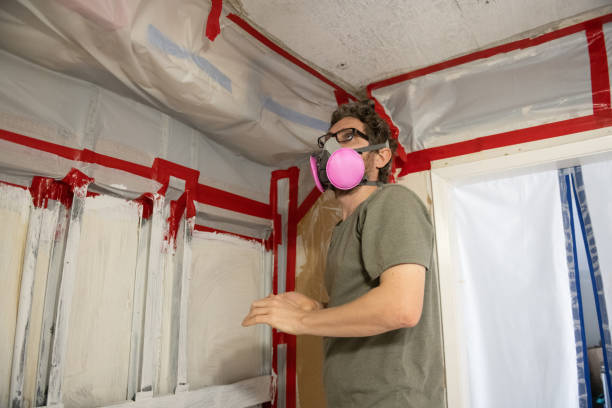 Best Biohazard Mold Removal  in Fairview, NC