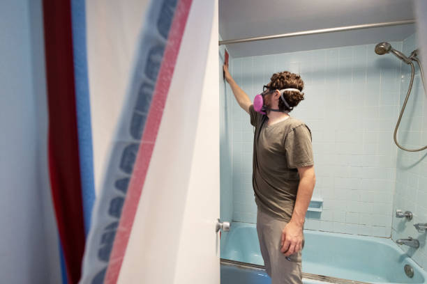 Best Mold Odor Removal Services  in Fairview, NC