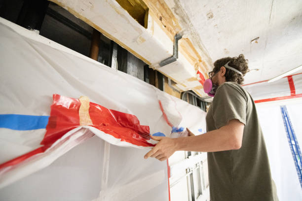 Best Real Estate Mold Inspection  in Fairview, NC