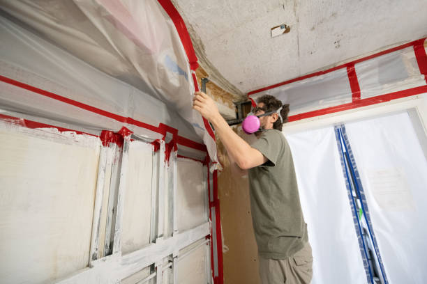 Best Mold Removal for HVAC Installations  in Fairview, NC