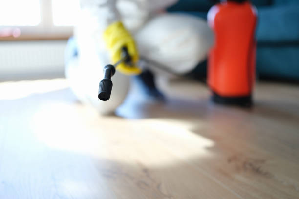 Best Industrial Mold Remediation  in Fairview, NC