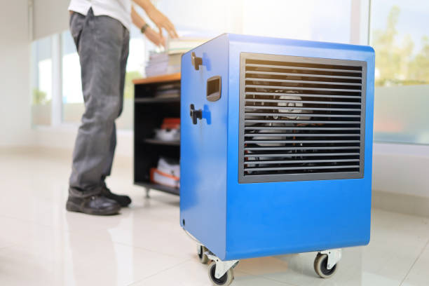 Best Environmental Consulting for Mold Prevention  in Fairview, NC