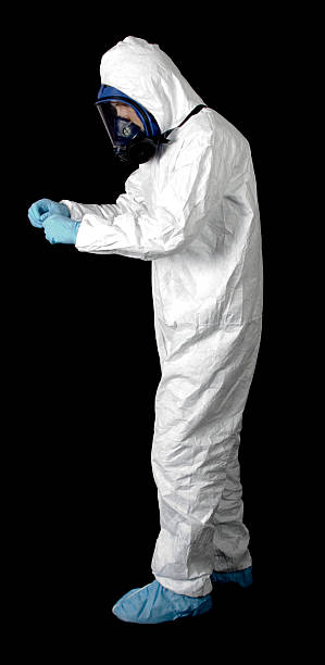 Best Mold Removal for HVAC Installations  in Fairview, NC
