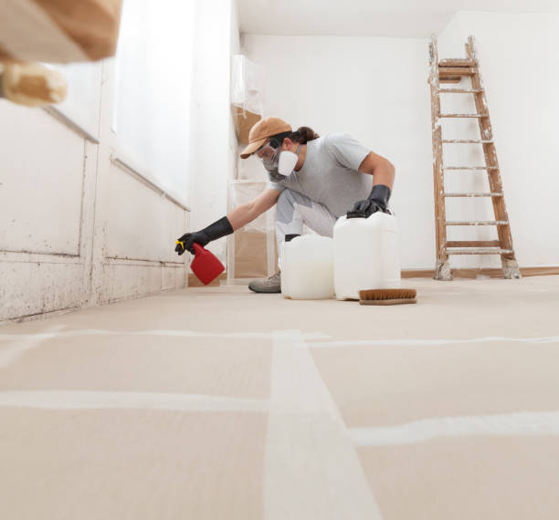 Best Dehumidification Services  in Fairview, NC